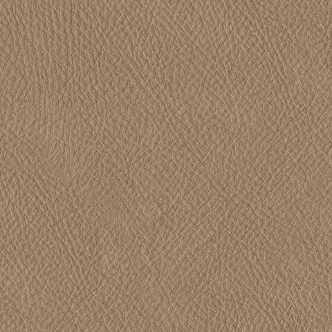 38006-BODY-A-SWATCH-500.webp