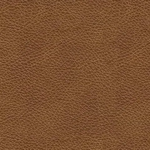 57604-SWATCH-BODY-A-500.webp