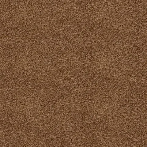 Bolsena Leather Sofa6.webp