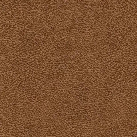 Emilia 3-Piece Leather Modular Sofa4.webp
