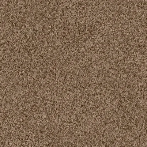 U12400-BODY-A-SWATCH-500.webp