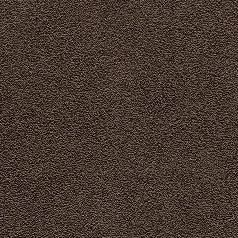 U64506-BODY-A-SWATCH-500.webp