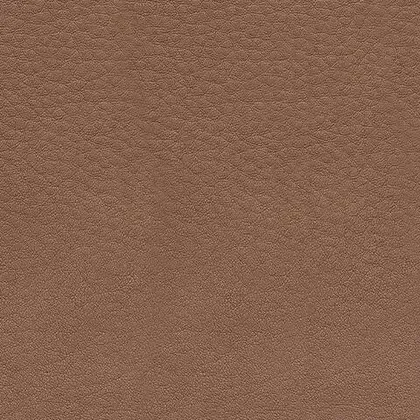 U62606-BODY-A-SWATCH-500.webp