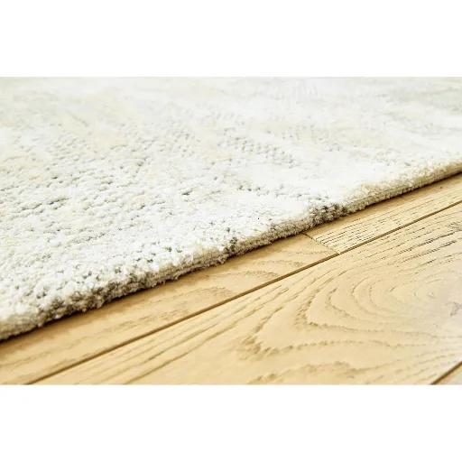 Bhedetar Pillow 5