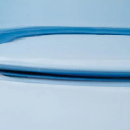 Sundarijal Vase 2