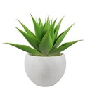Faux Aloe Plant, invoice photo