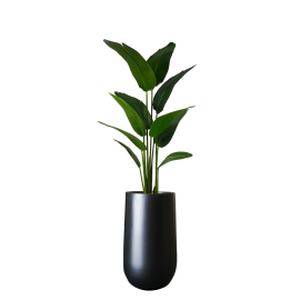 Faux Travelers Palm, invoice photo