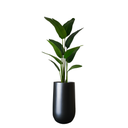 Faux Travelers Palm, invoice photo