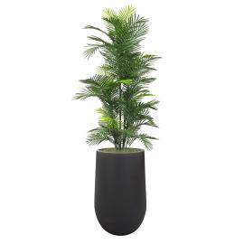 Faux Robellini Palm, invoice photo