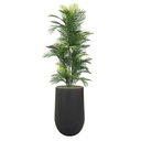 Faux Robellini Palm, invoice photo