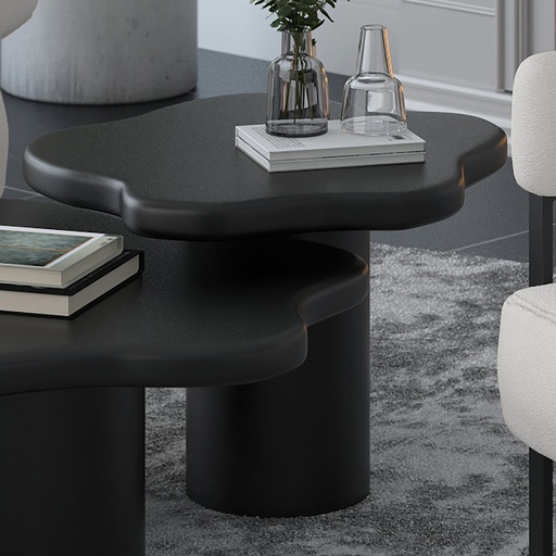 Mayal Black Solid Mango Wood Large Coffee Table 2
