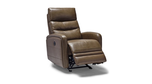 Fresno Premium Rocker Recliner 1