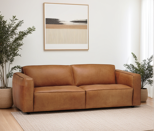 Caro Premium Sofa 1