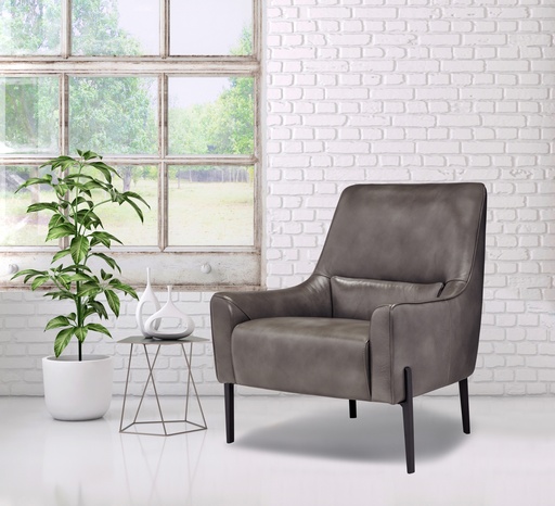 Navin Premium Accent Chair 1
