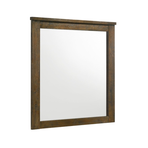 Sullivan Mirror 1