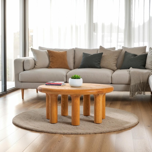 Destiny Coffee Table 1