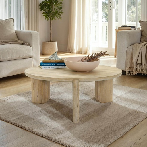Haru Coffee Table 1