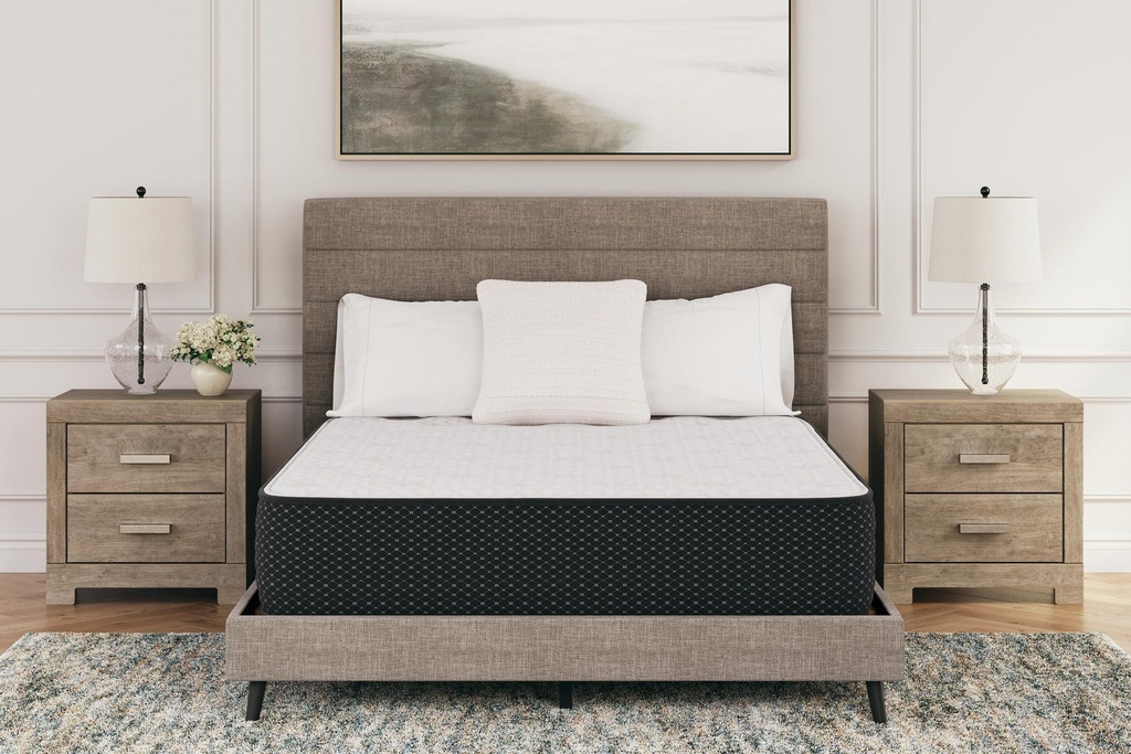 Limited Edition Plush Queen Mattress 2