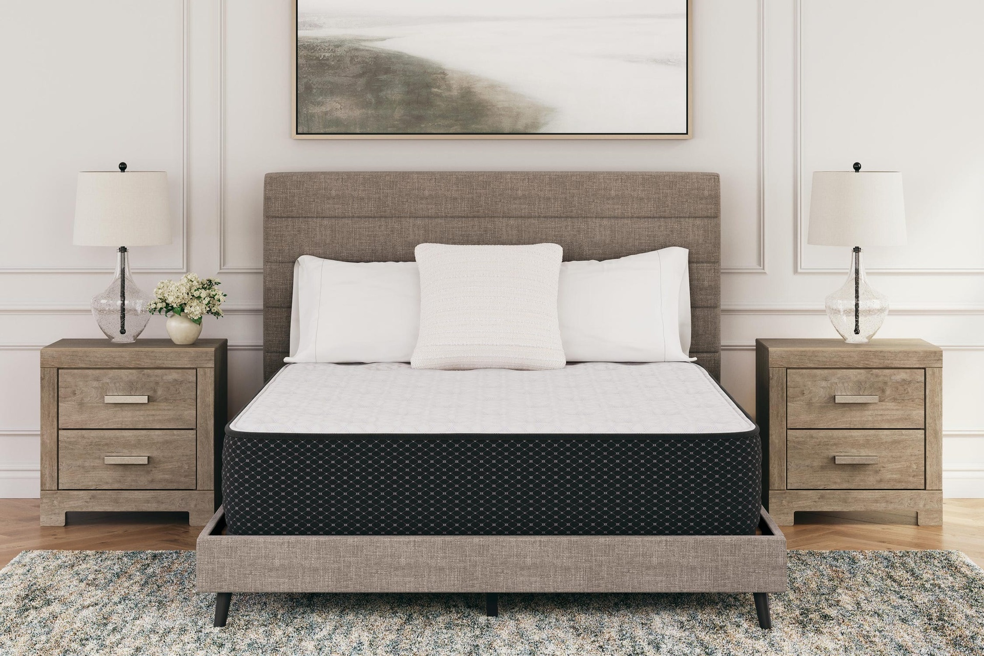Limited Edition Plush Queen Mattress 3