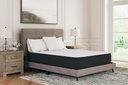 Limited Edition Plush Queen Mattress 3