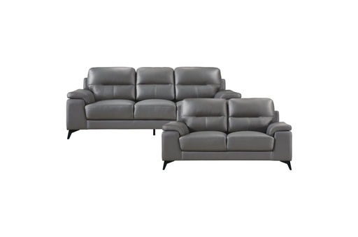 Mischa 2 Piece Sofa and Loveseat Set (Dark Grey Leather) 2