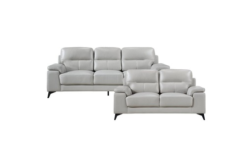 Mischa 2 Piece Sofa and Loveseat Set (Silver Leather) 2