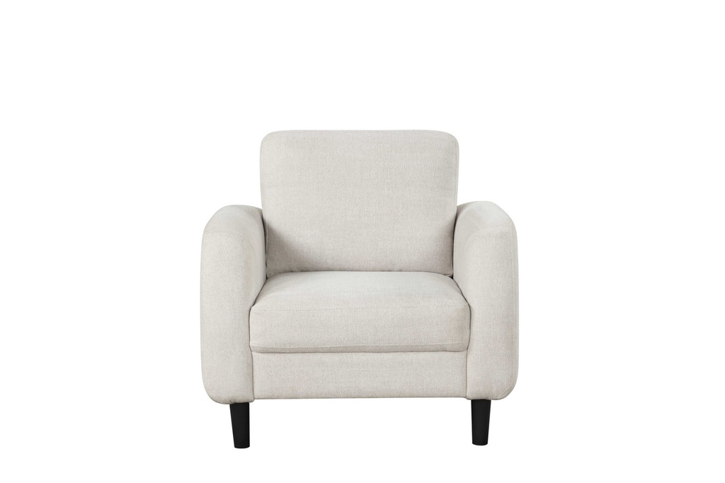 Sierra Tailored Modern Living Room Loveseat view 5