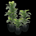 Faux Robellini Palm Tree in Lodi Planter, Black, 8ft