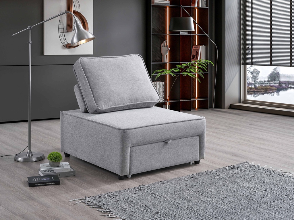 Convertible Sleeper Chair