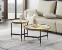 Set of 2 Coffee Tables