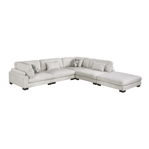 Tinley Modular Sectional 19