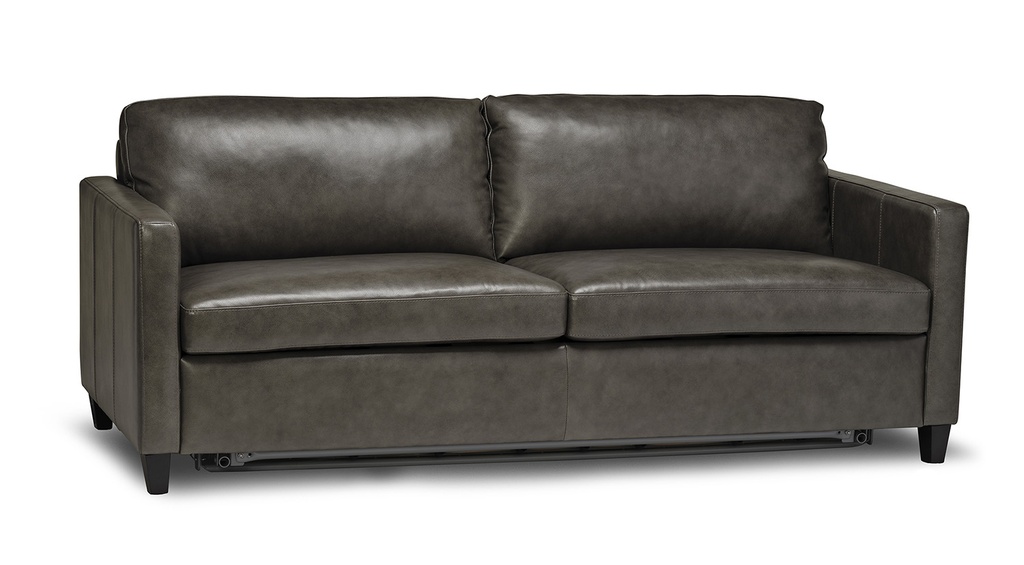 Reve Premium Sofa Bed