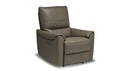 Laguna Premium Power Recliner
