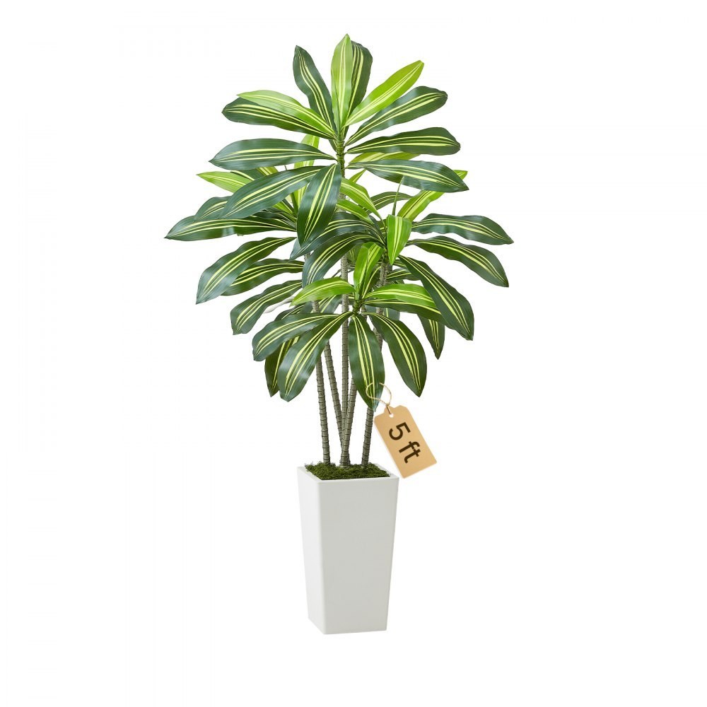 Artificial Dracaena Tree in White Planter, 5ft 2