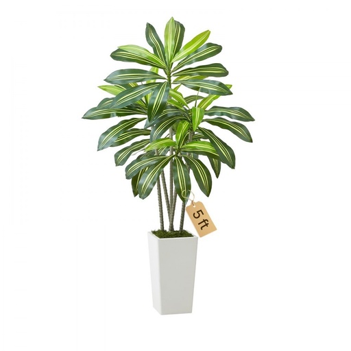 Artificial Dracaena Tree in White Planter, 5ft 2