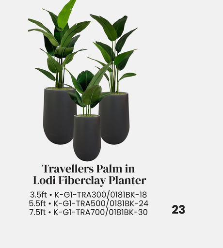 Faux Travelers Palm in Lodi Planter, Black, 6ft