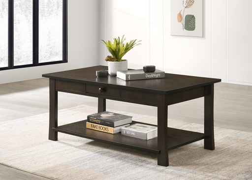 Espresso Storage Coffee Table