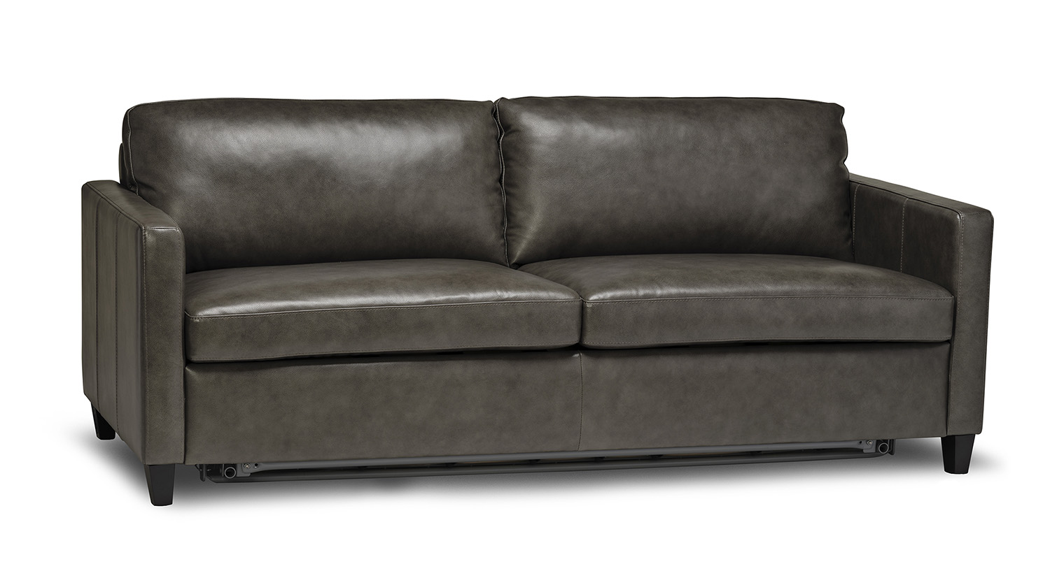 Reve Premium Sofa Bed