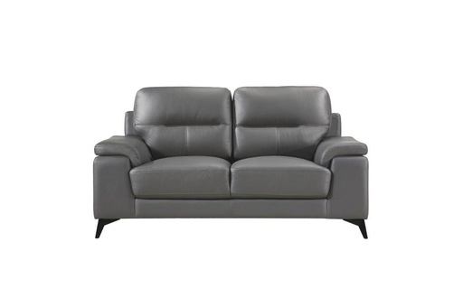 Mischa Dark Grey Leather Loveseat 1