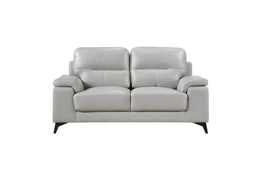 Mischa Silver Leather Loveseat 1
